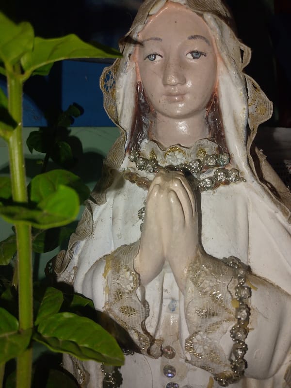 Witness documents quiet domestic life in Juan Griego, Venezuela