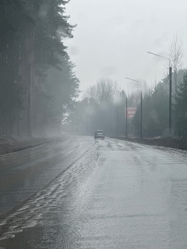 Foggy road conditions and playful moments captured in Chaikovsky