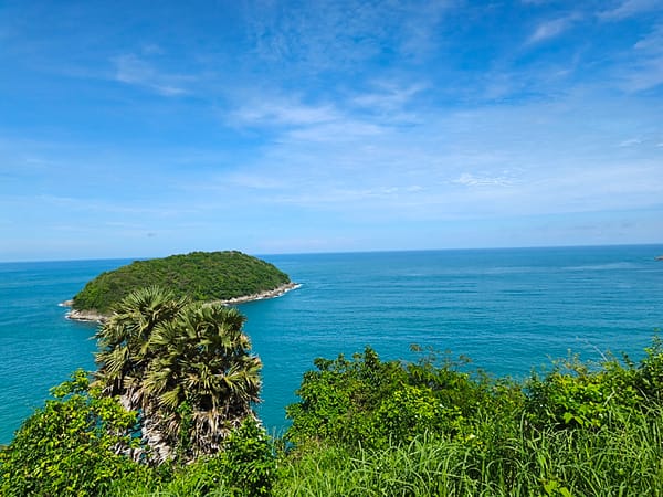 Tropical coastal landscape photographed from aerial perspective