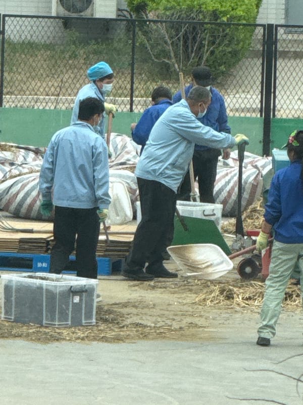 Workers in protective gear perform outdoor tasks in Daxing District