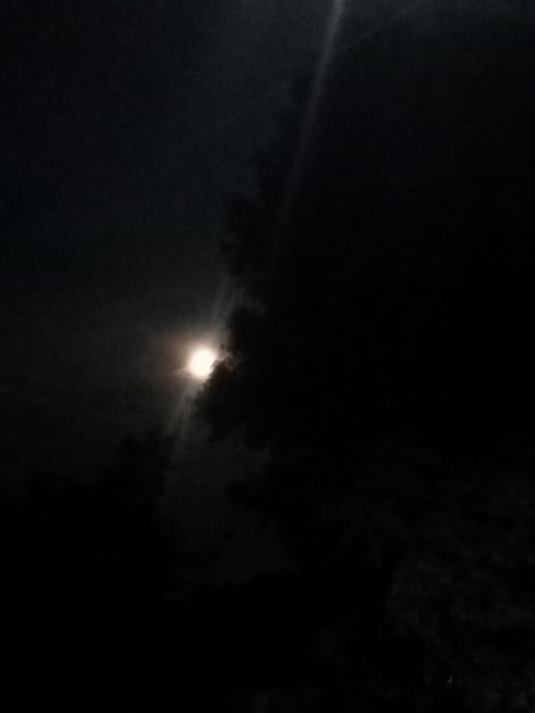 Quiet urban night — streetlights, moon, and empty roads