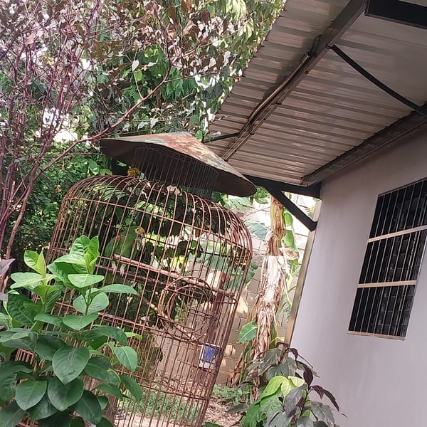 Residential scenes and digital images captured in Tinaquillo, Venezuela