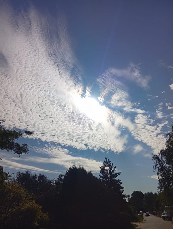 Quiet suburban morning in Wilczyce under a patchy summer sky