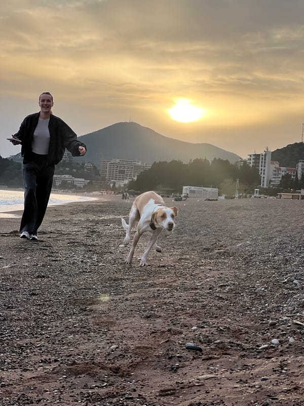Person photographs dog on Montenegro beach at sunset