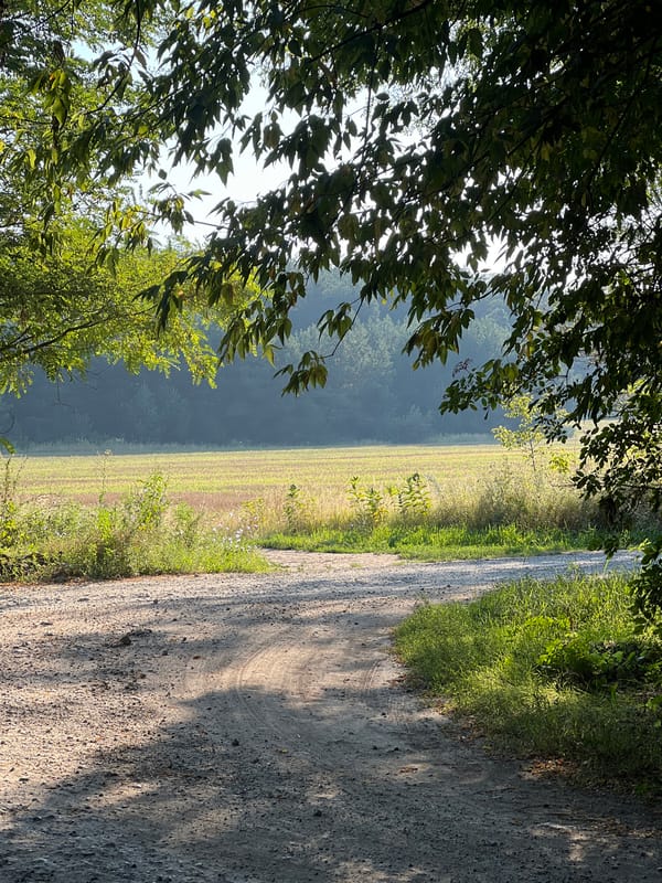 Selfie series on a shaded dirt road in natural light