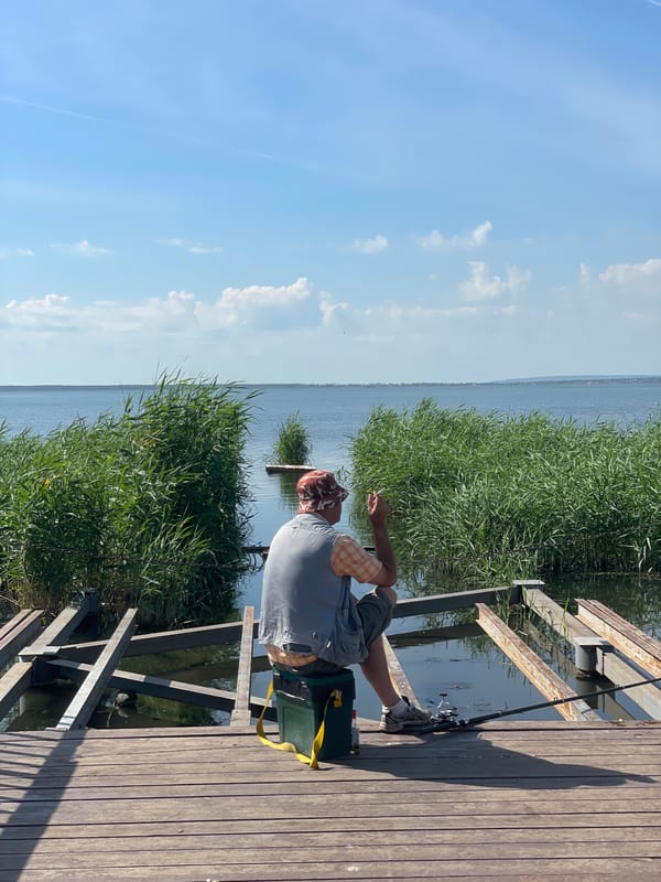 Fishing, dogs, and open skies on a calm waterfront day