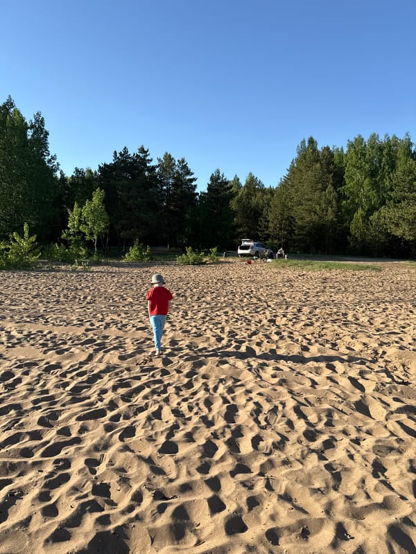 Beach day with grilling activities documented in Noviy, Russia