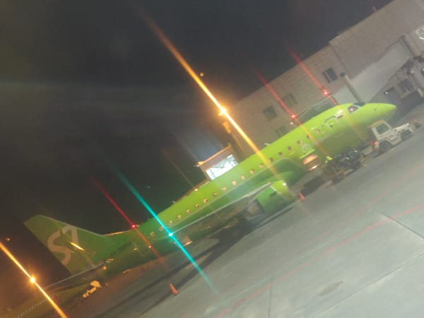 Passenger documents routine S7 Airlines safety procedures in Ob