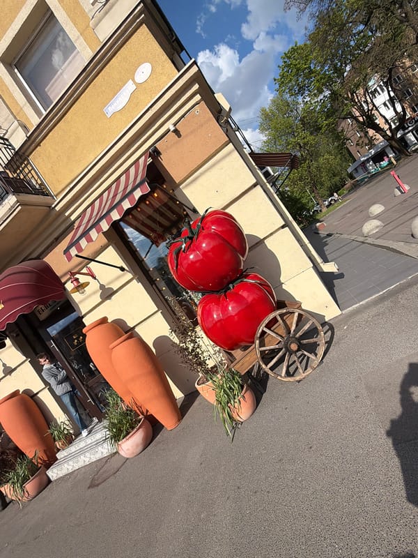 Kaliningrad street scenes capture storefronts, teddy bear display, fountain