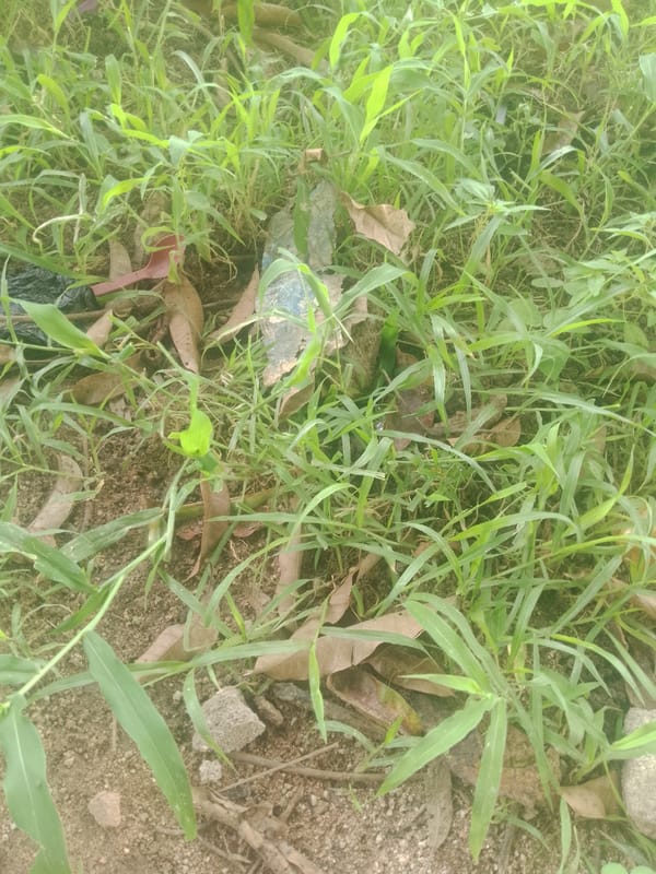 Casual outdoor gathering in a sandy, developing area