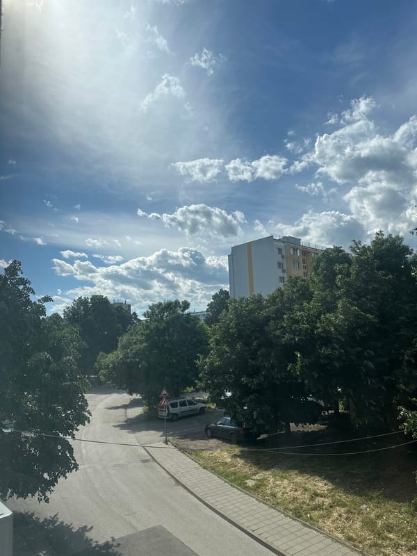 Urban street scene captured with trees and diagonal roadway