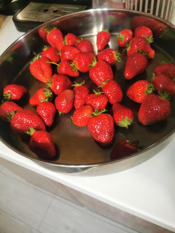 Domestic moments captured in Stara Zagora household