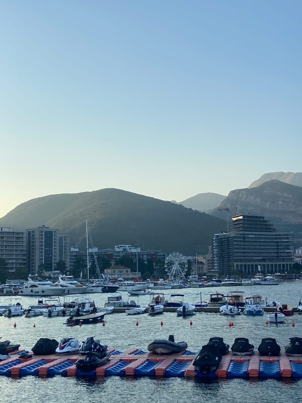 Jet skis docked at an urban harbor with mountain backdrop