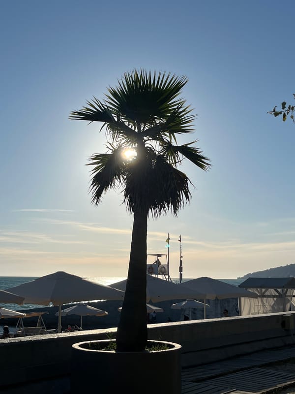 Summer afternoon on the Sochi seafront