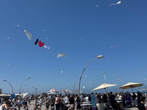 Kite festival draws crowds to Tel-Aviv boardwalk