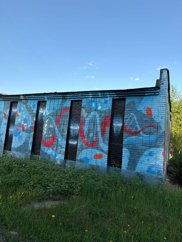 Urban scenes captured: DNA mural, park pathway, industrial pipes
