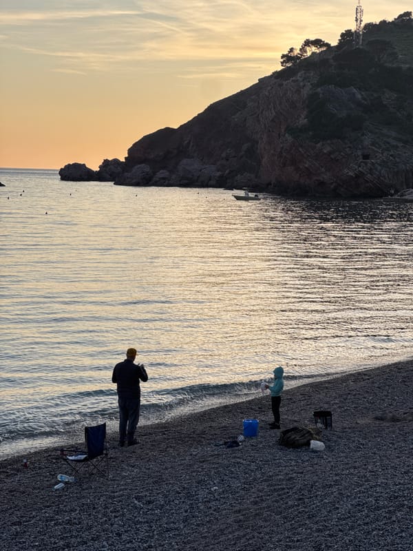 Person walks three dogs on concrete ramp in Montenegro