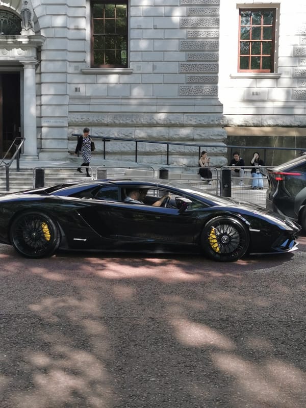 Black Lamborghini spotted on London streets, duck observed in park