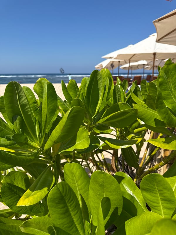 Bali beach morning: shoreline, resort lounges, and a kite