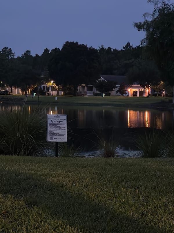 Evening walk along an Orlando lakeside park path