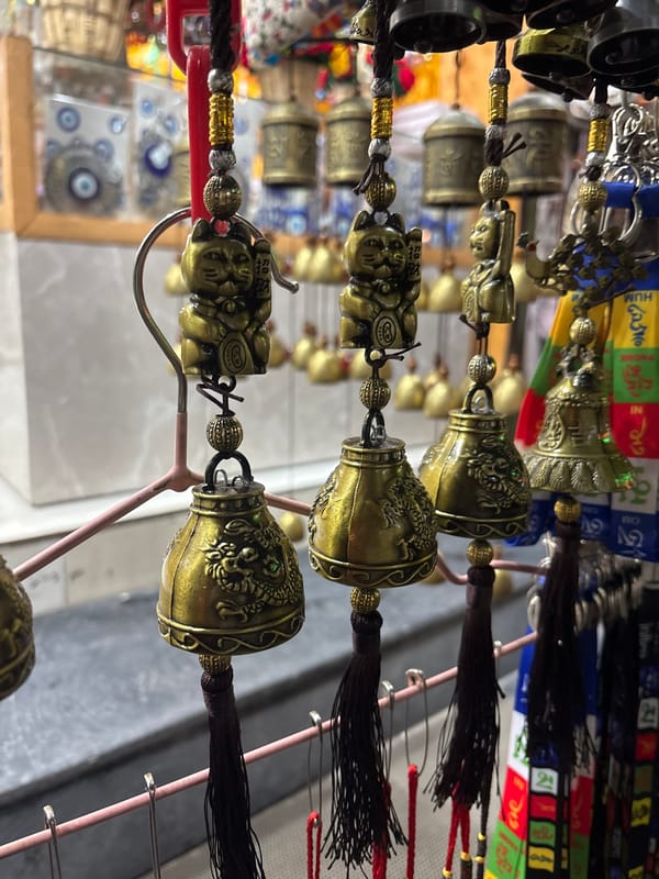 Food culture and village scenes in Vashisht, India