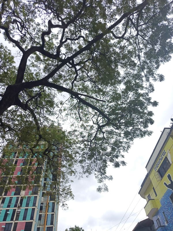 Photographer documents Valencia Venezuela street scenes and cathedral