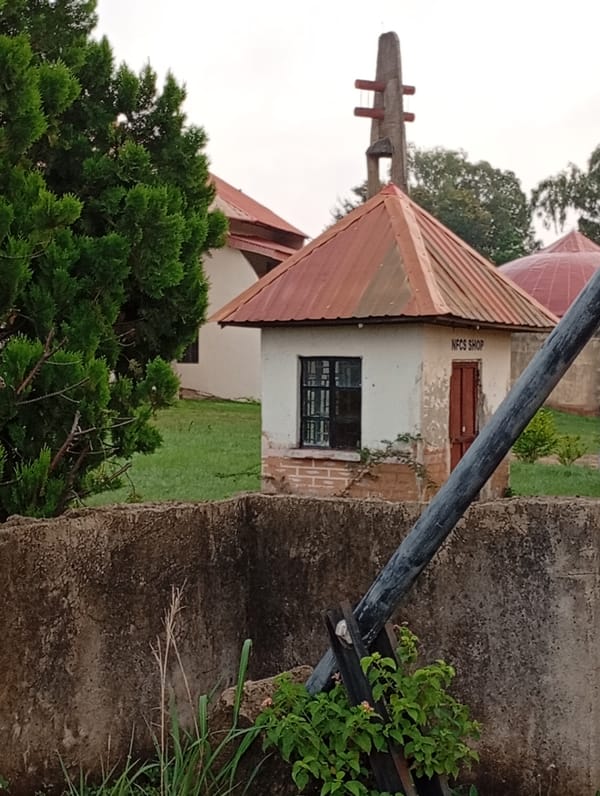 Morning stroll through University of Jos campus and botanical garden