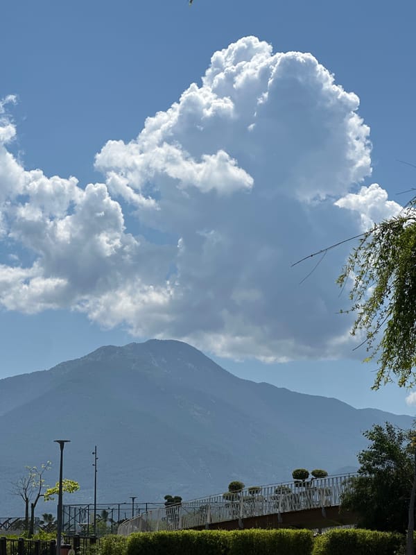 Spring morning wildlife and landscape observed in Fethiye