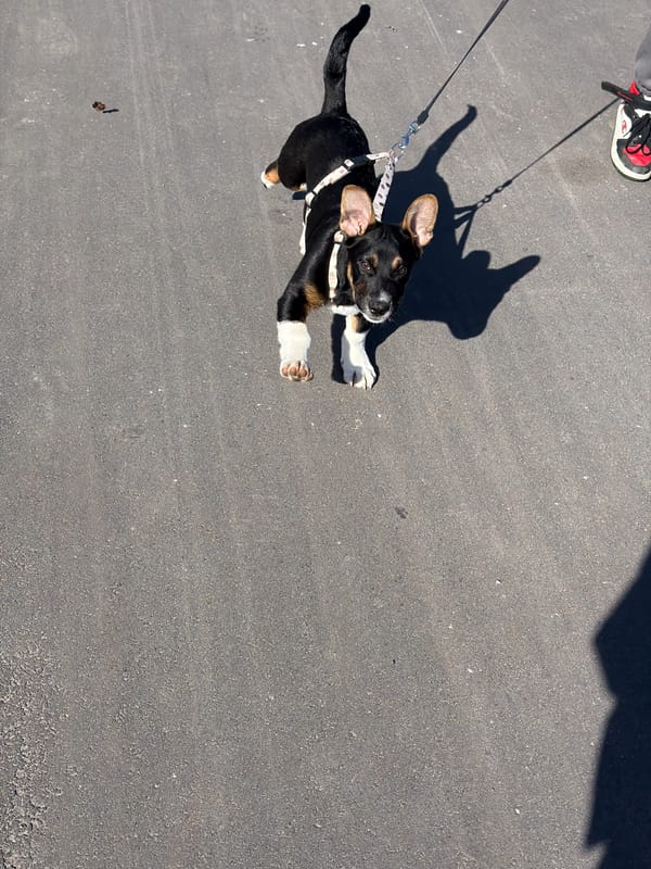 Woman takes morning selfie in Riga, Latvia