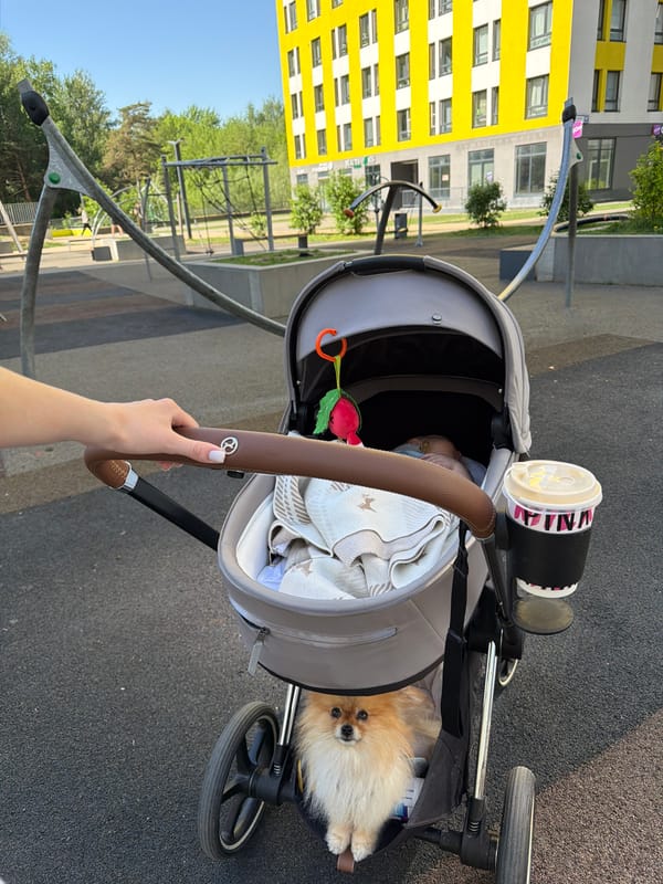 Morning stroll with baby, dog, and coffee in Khimki