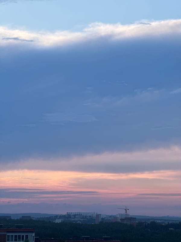 Dusk skyline and garden flowers in Markova, Russia