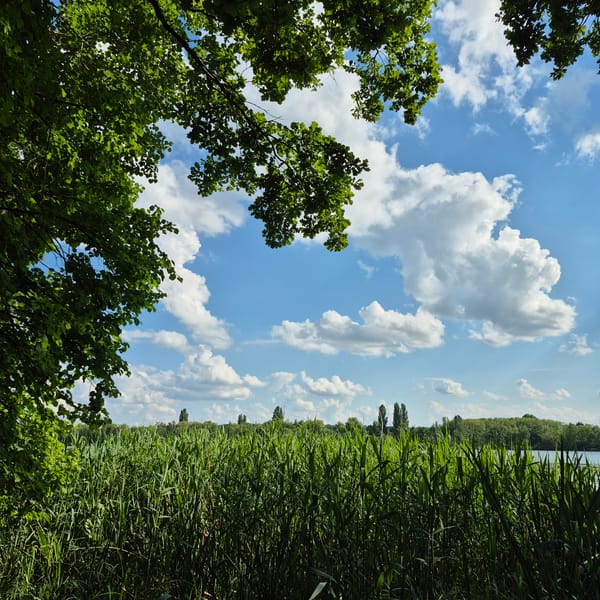 Peaceful lake scene documented in Chmyrivka, Ukraine
