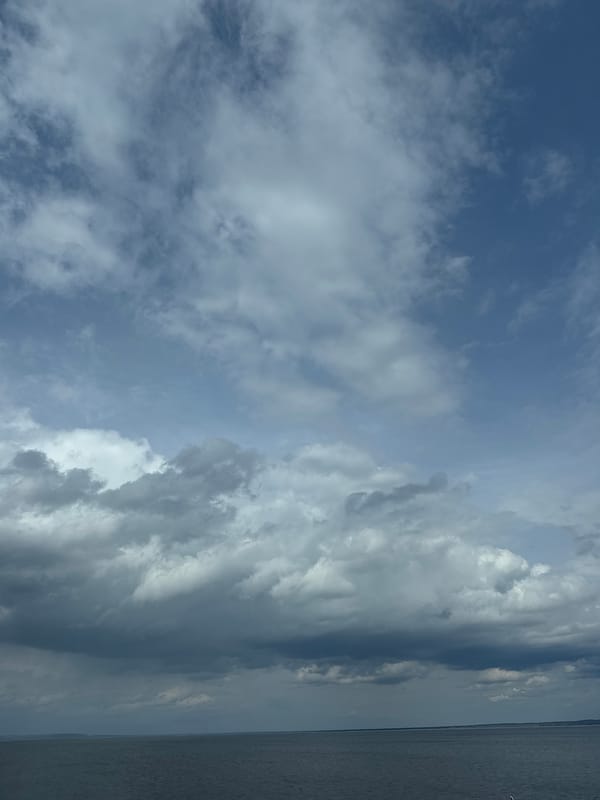 Morning observations capture domestic and industrial scenes in Chaikovsky