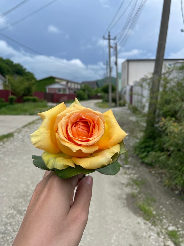 Village life documented in Olginka, Russia through everyday moments