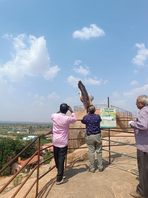 Man feeds monkeys in Lepakshi park wearing camouflage outfit
