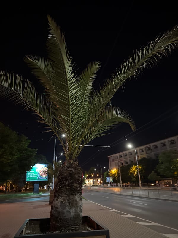 Evening stroll through illuminated Varna city center landmarks