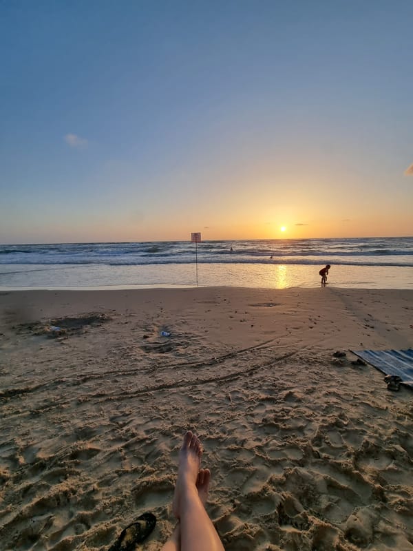 Tel Aviv sunset draws beachgoers, horse spotted on city streets