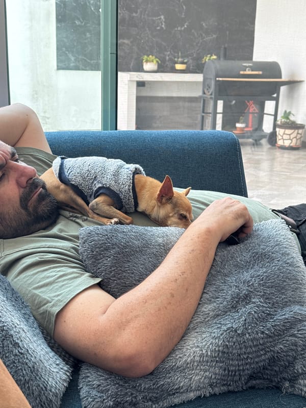Person relaxes with sweater-wearing Chihuahua on sofa in Mexico