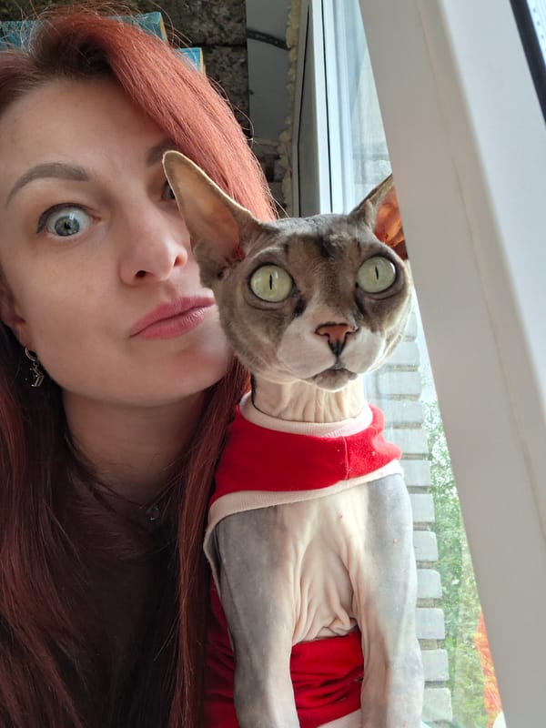 Woman documents quiet afternoon with cats in rural Belarus