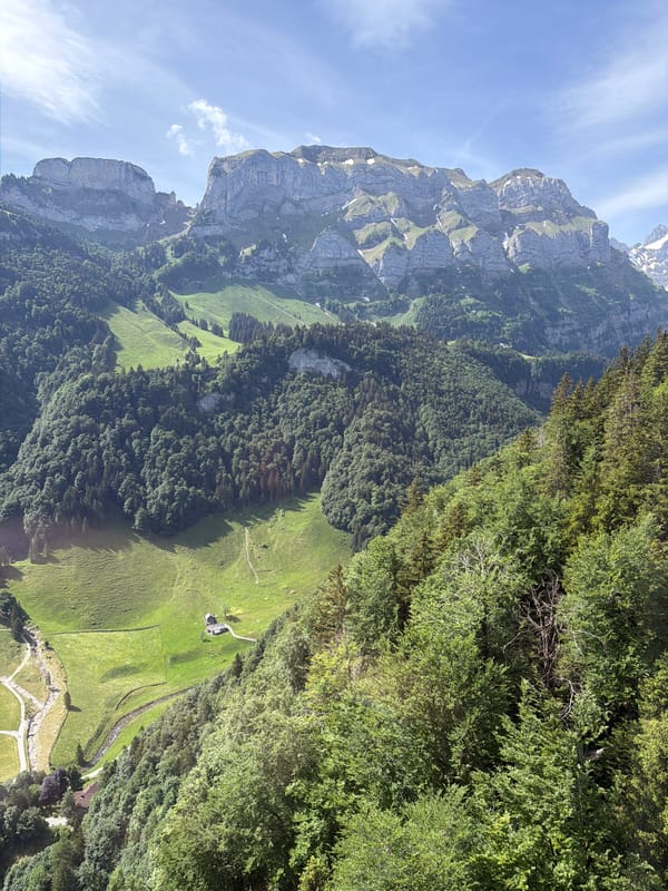 Cable car rider captures Swiss alpine scenery in Schwende-Rüte