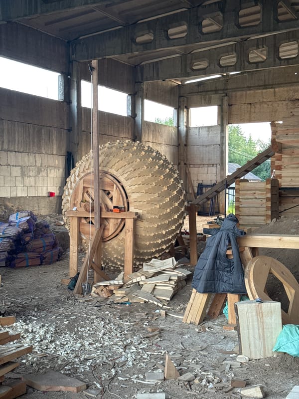 Large wooden sculpture taking shape at a rural Belarusian construction site