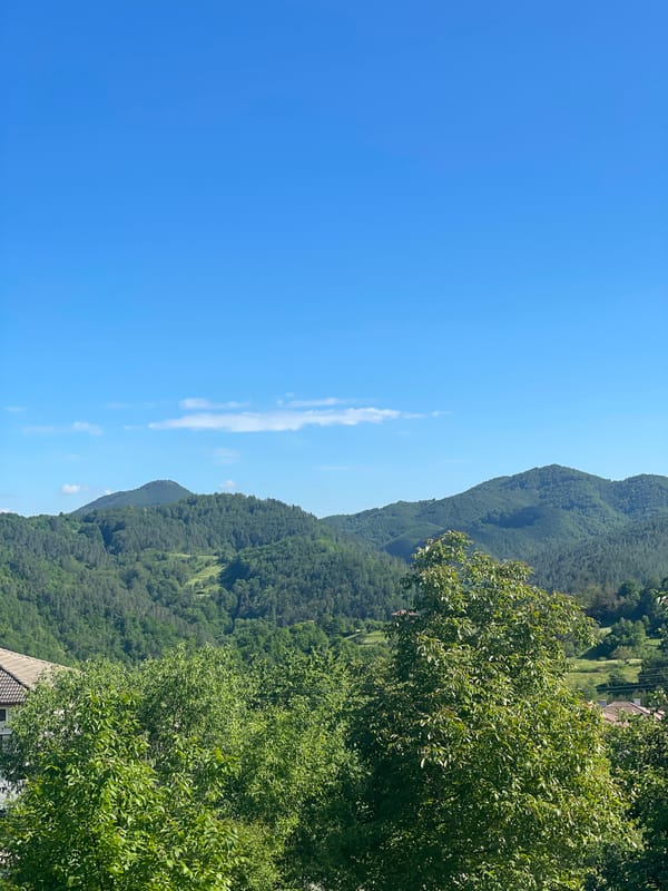 Witness documents peaceful rural scenes in Zhaltusha, Bulgaria