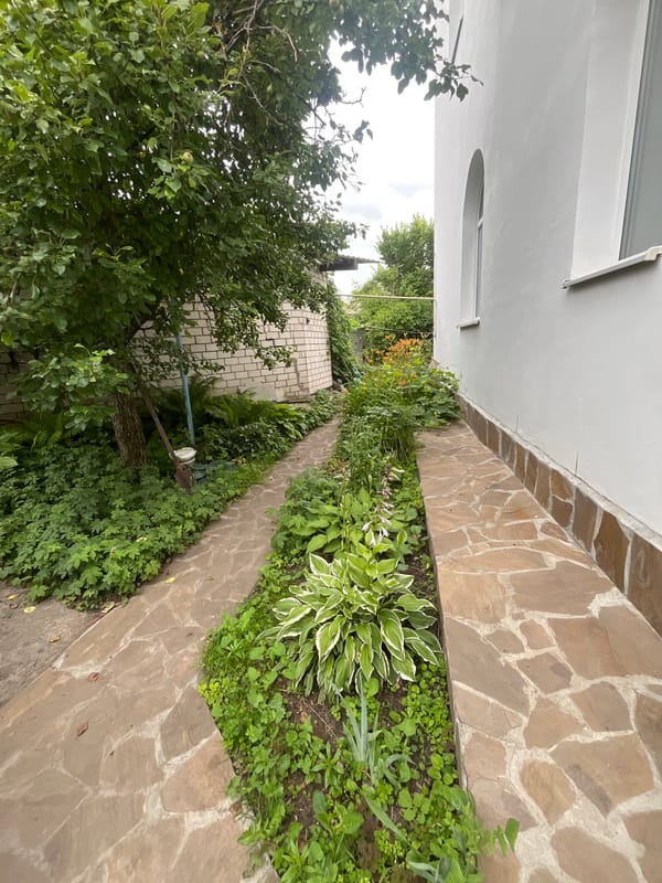 Summer garden in full swing, Voronezh backyard