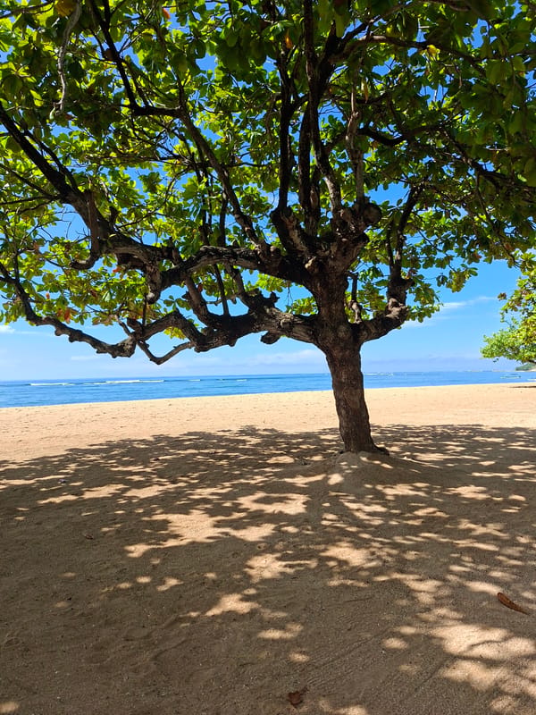 Tourist captures tropical beach scenes in early morning Denpasar