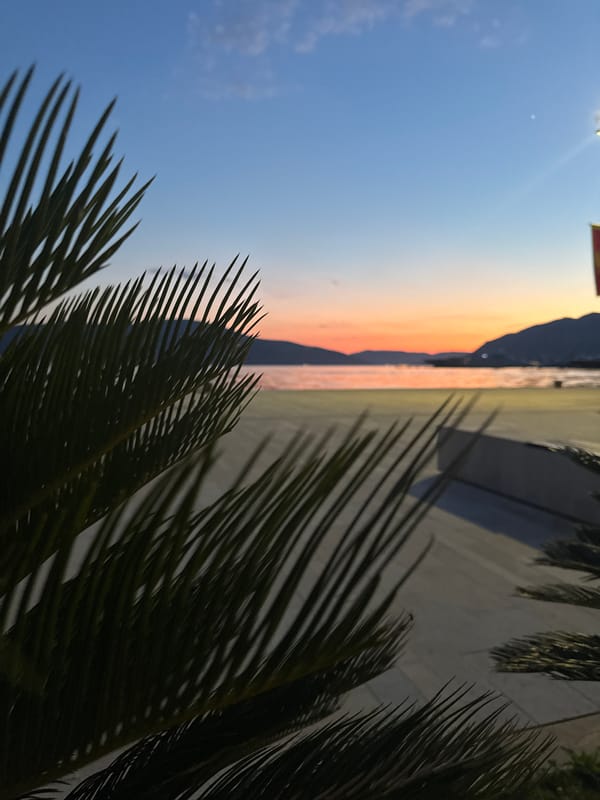 Sunset captured over Tivat waterfront with yachts and palms