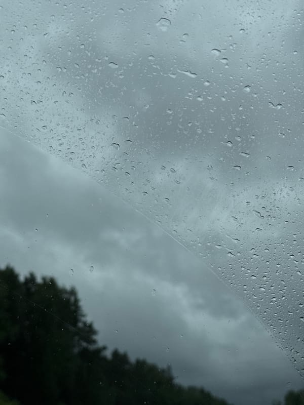Vehicle memories captured during rainy morning in Novyi, Russia