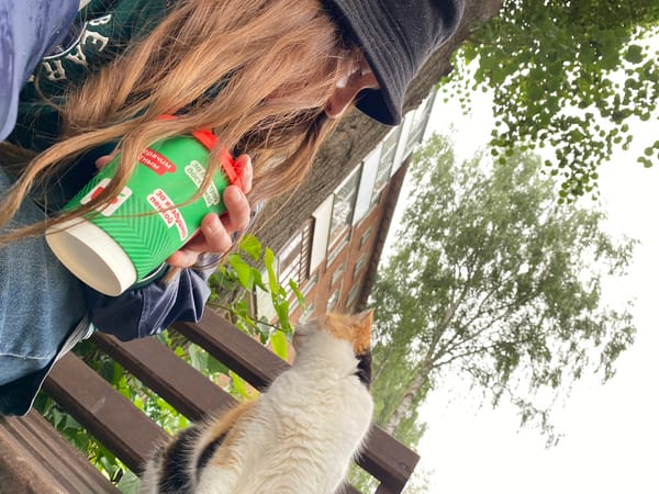 Calico cat hangs out with its owner in Votkinsk park