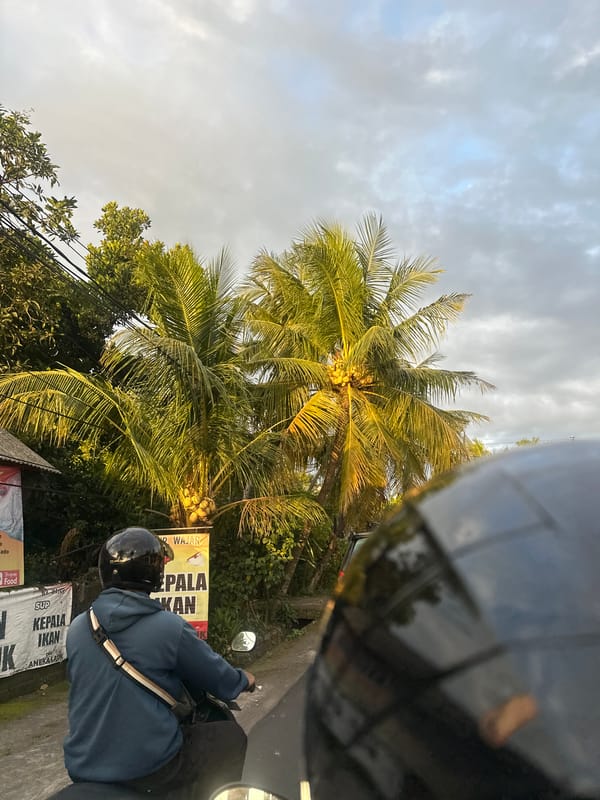 Morning street scenes documented in Sukawati, Indonesia