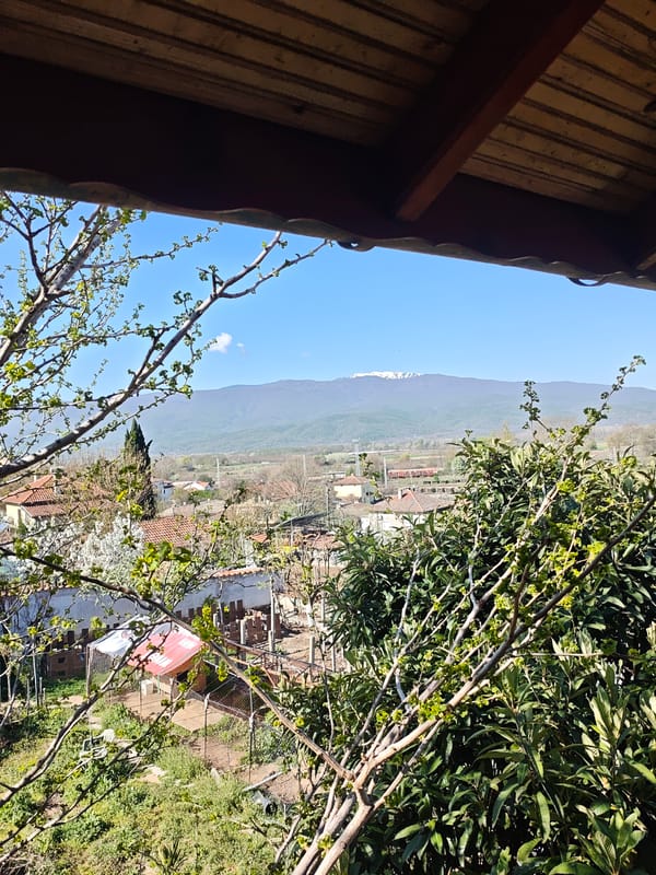 Morning domestic scenes captured from balcony and windowsill views
