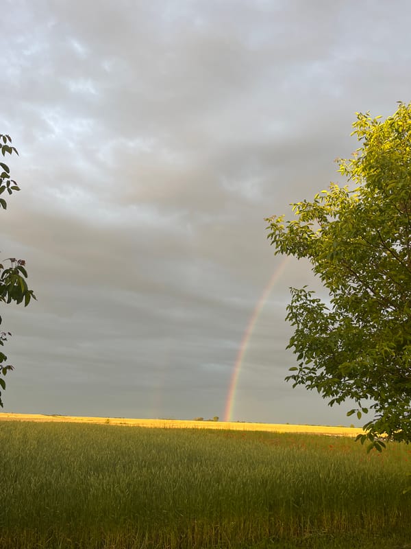 Double rainbow over rural farmland after an evening rain